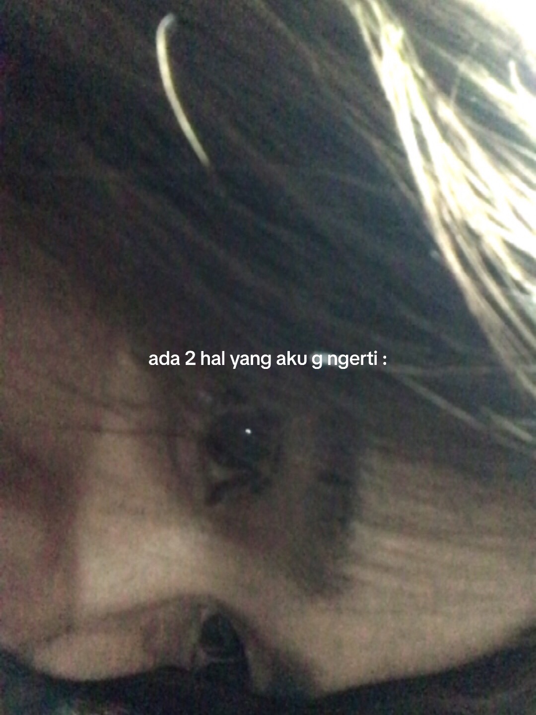 @Rumahjajan01