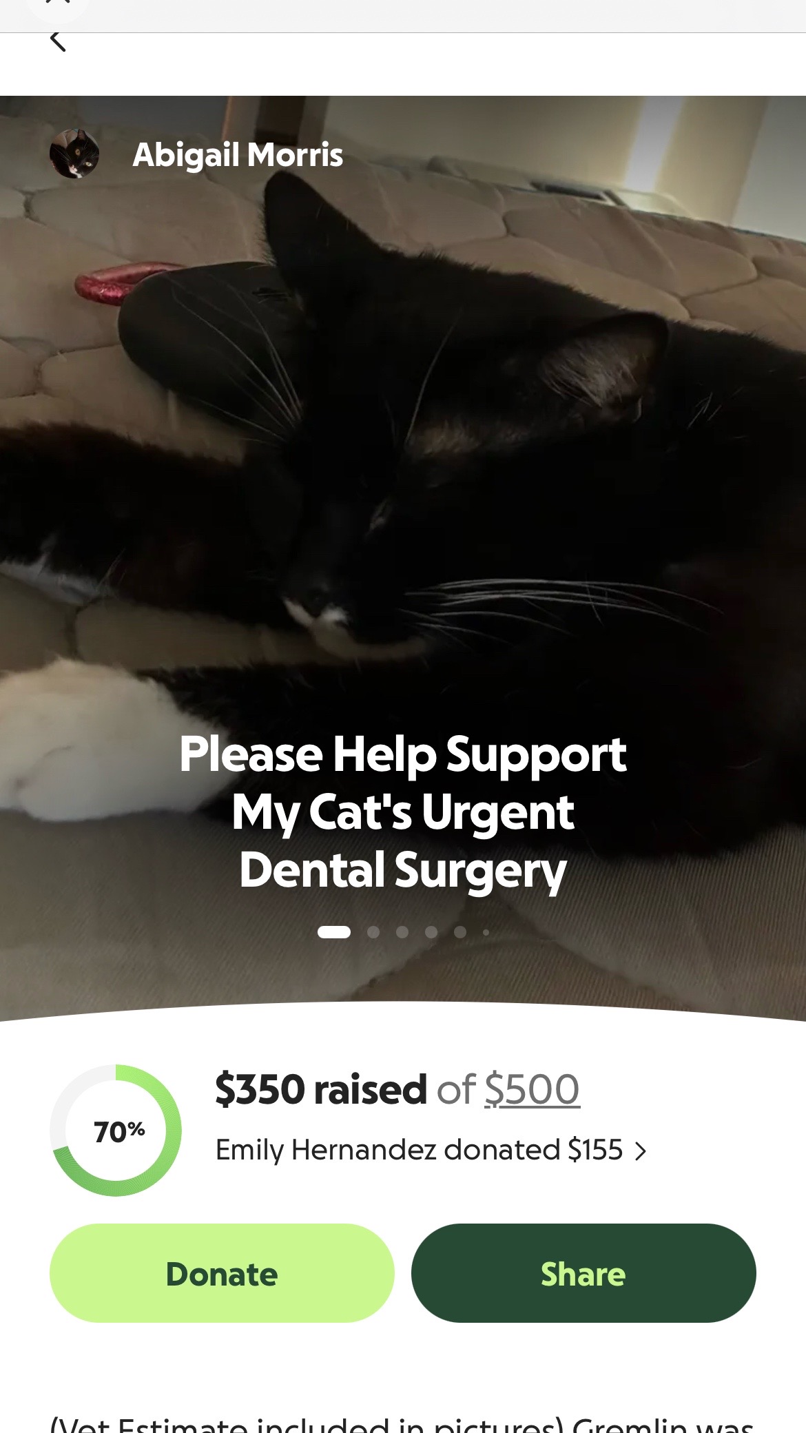 @Gremlin_Fundraiser