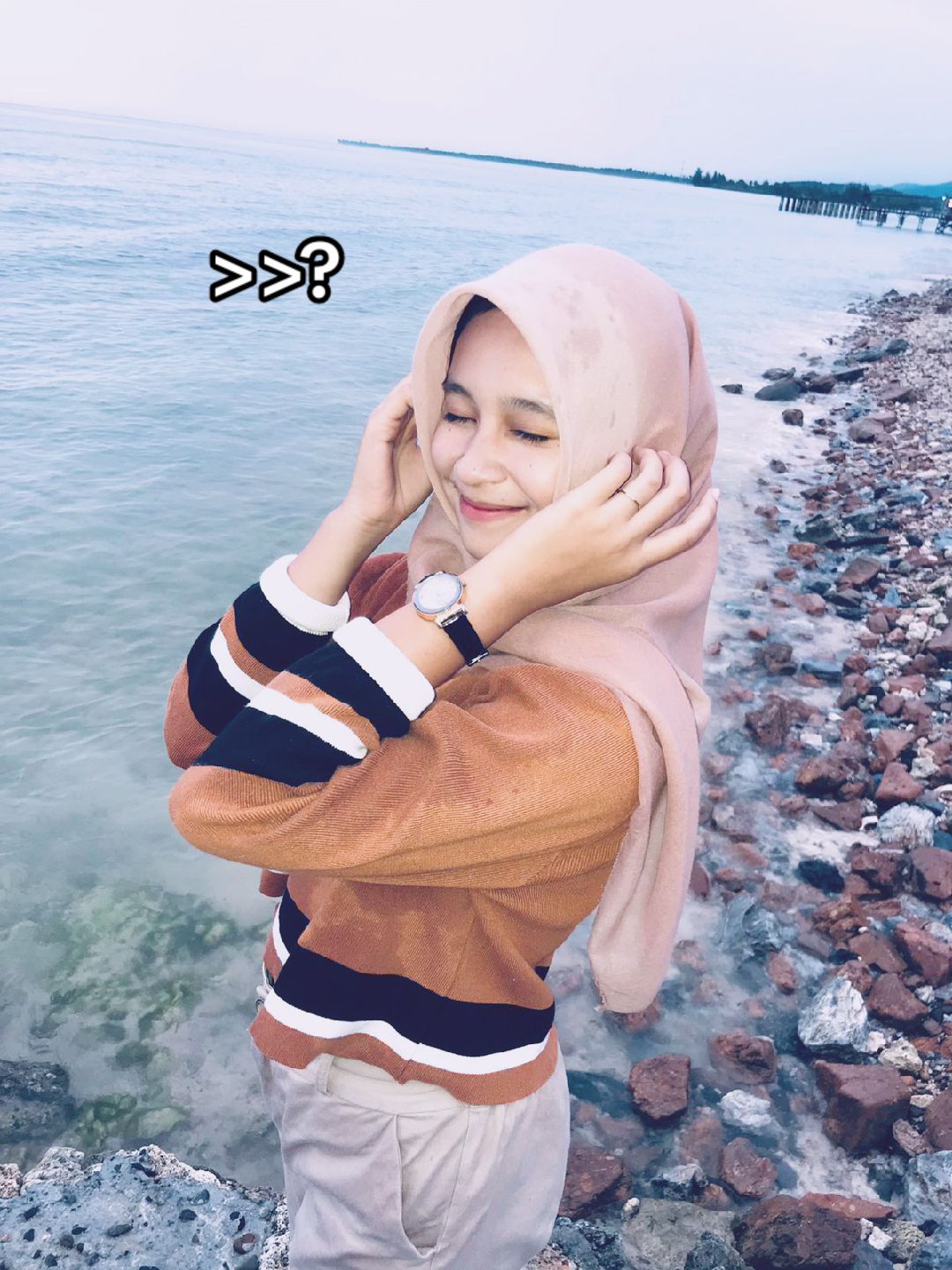 @devha_sslbl