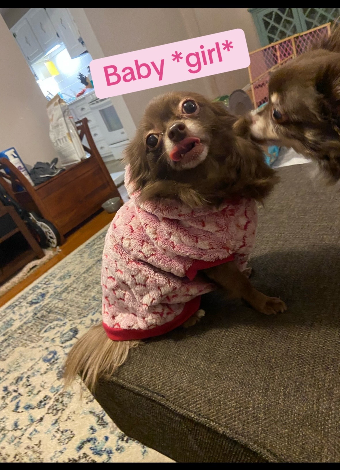@Alisa