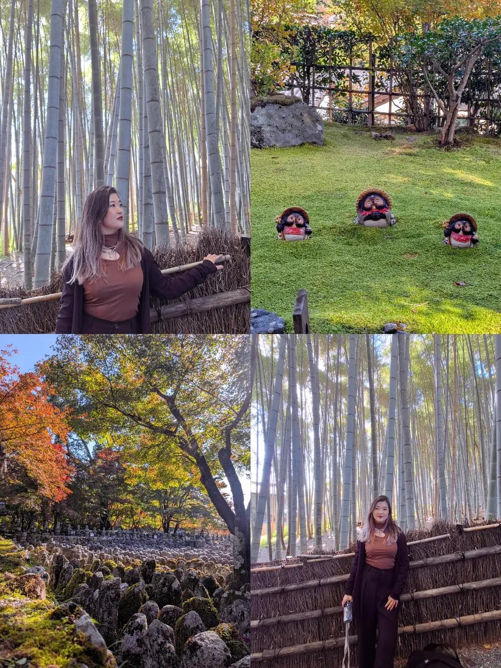 @maayjapan