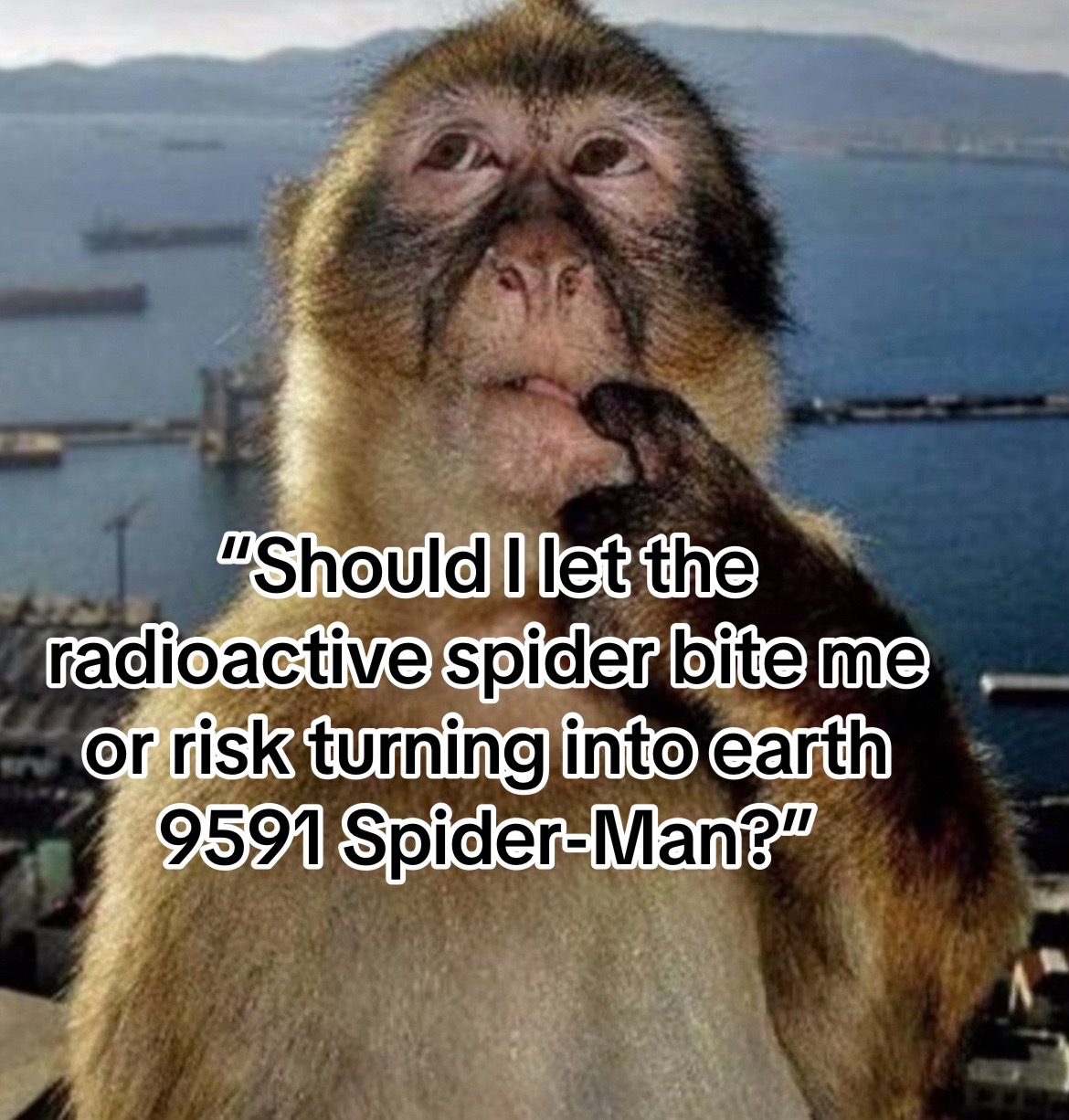 @🕸️🕷️ThePodMan🕷️🕸️