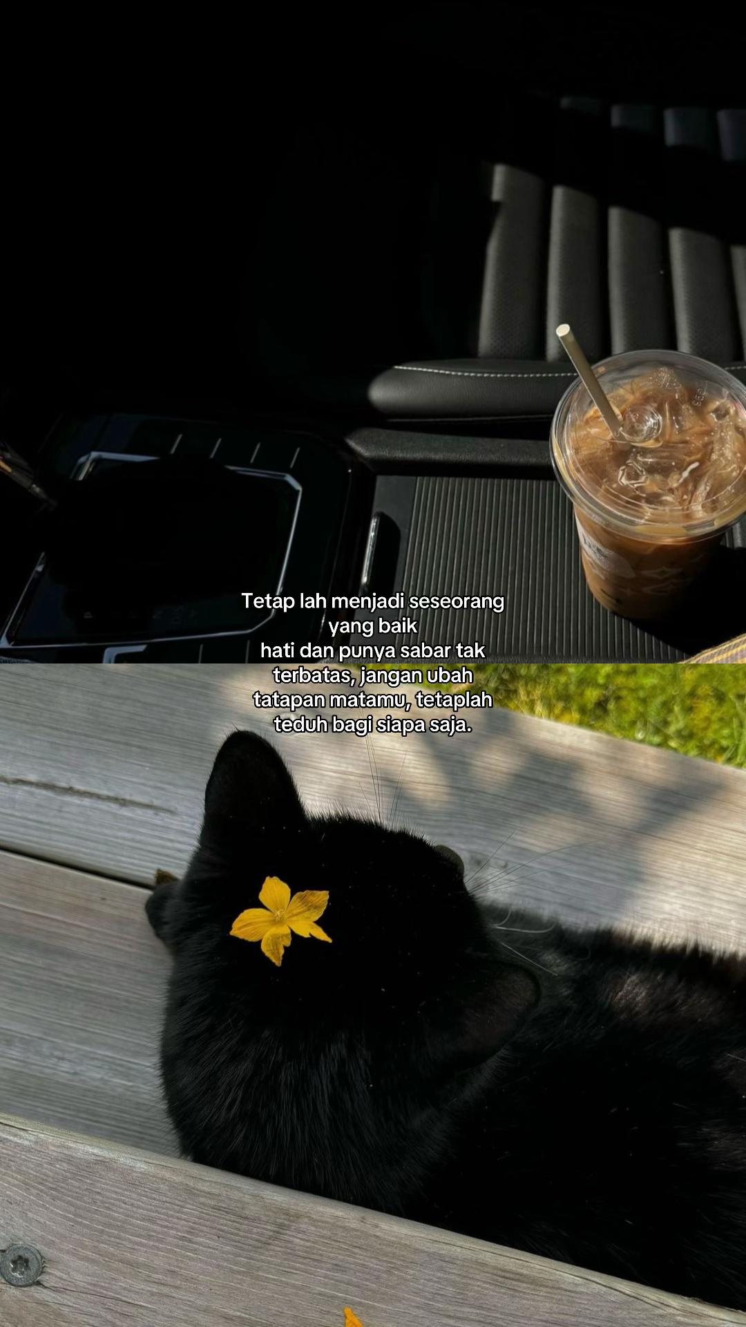 @Ladyl