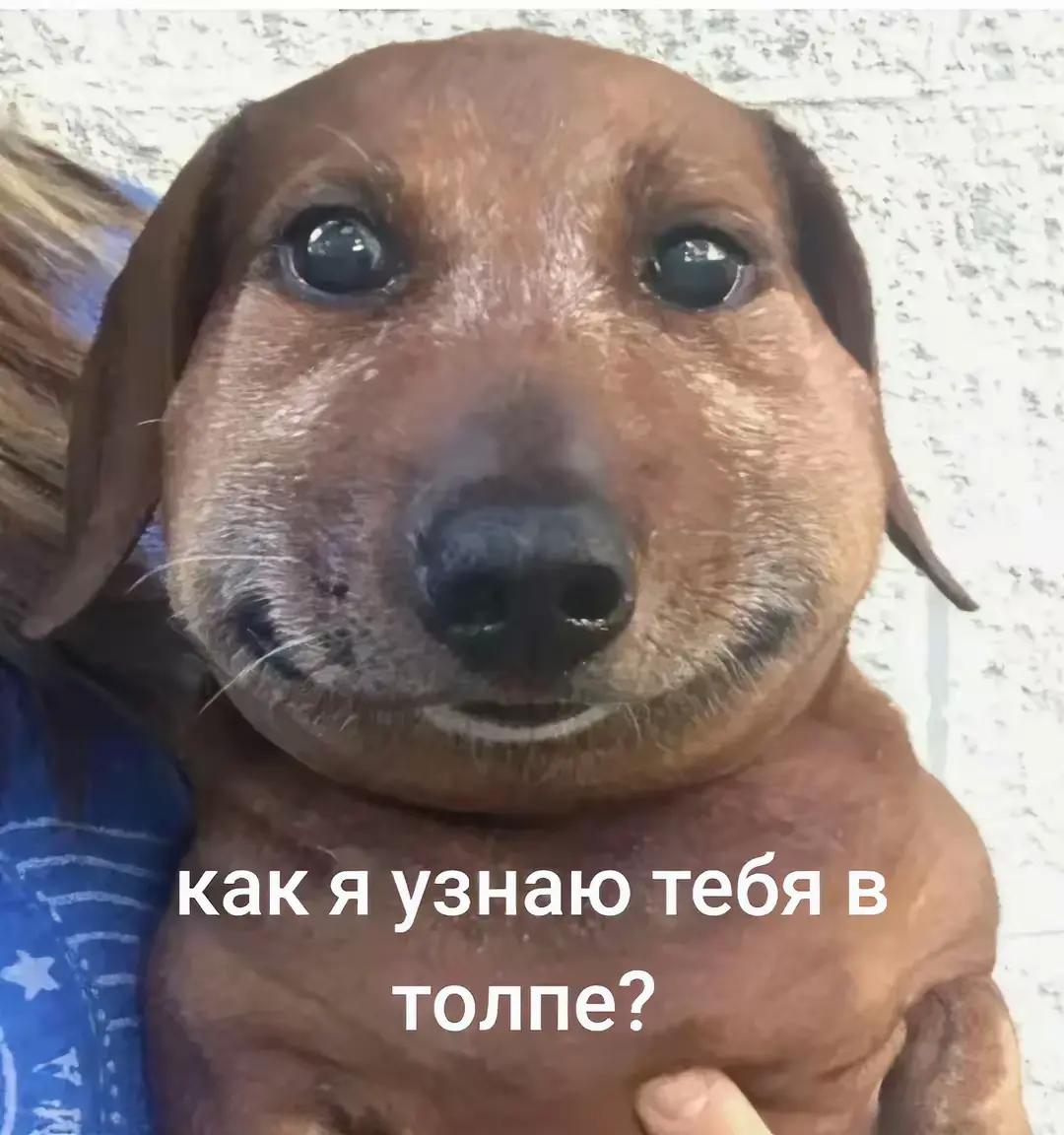 @user87681991202