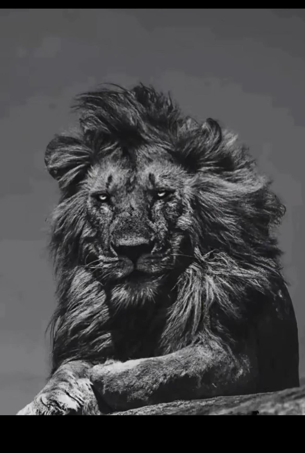 @﮼يارتني🐺❌🗣️👬﮼