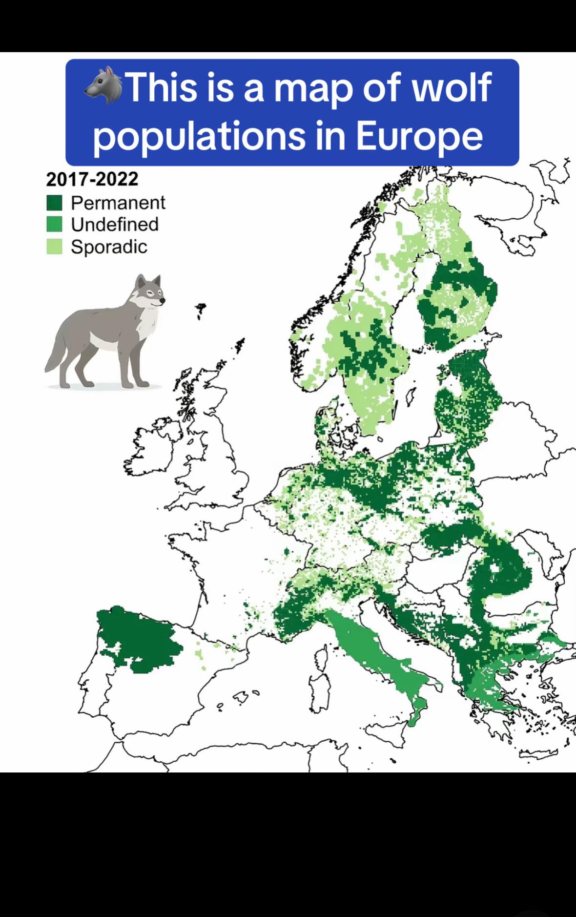 @European Environmental Bureau