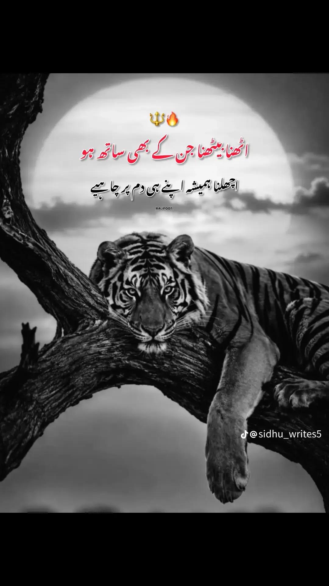 @Rehan Ali