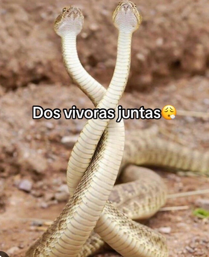 @Lara ๐