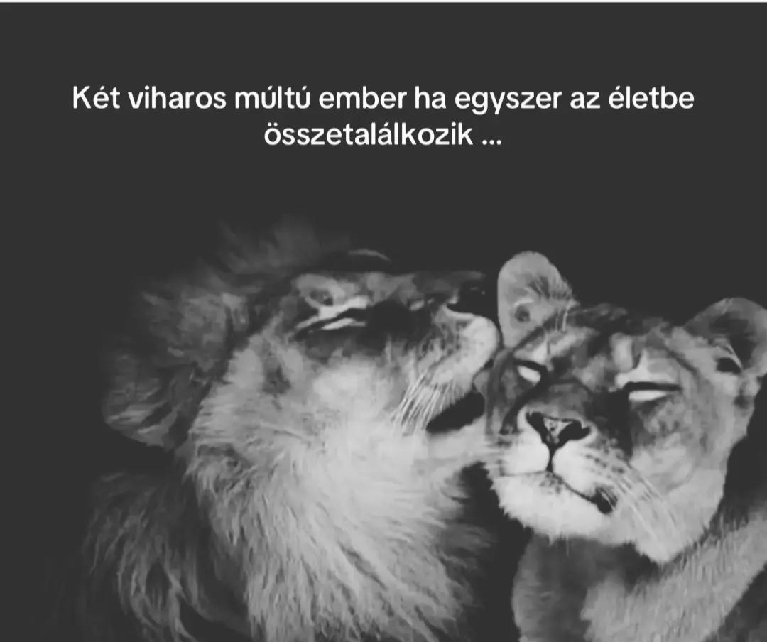 @Dzsesszika&Robika