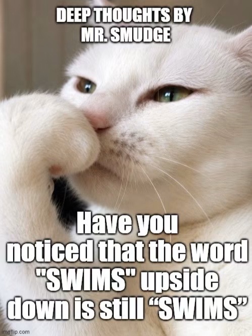 @Gary