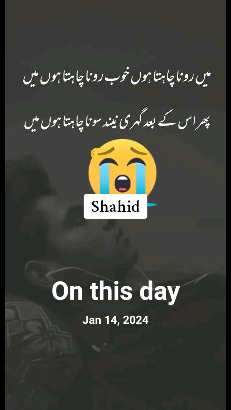 @Shahid Ch arain ❤🌹