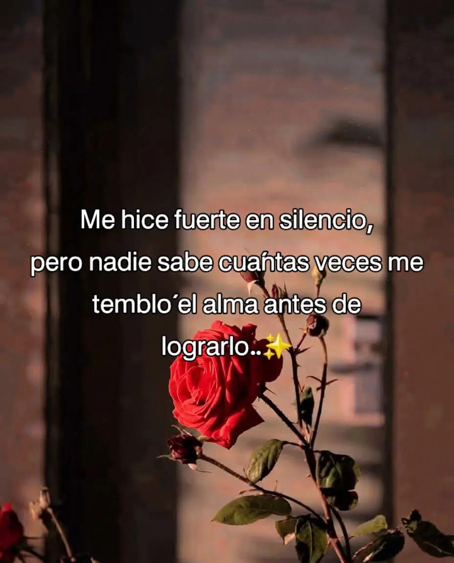 @❤️𝒞𝓇𝒾𝓈𝓉𝓎 𝒜❤️