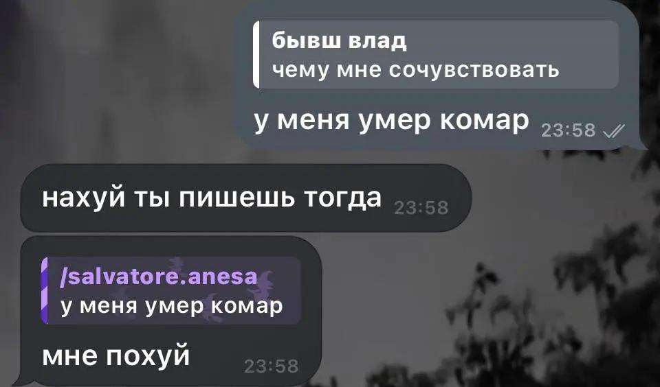 @чекушка✌🏻