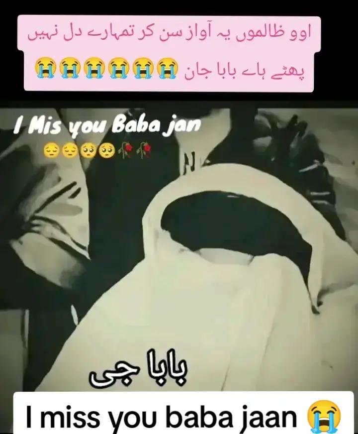 @رضوی کہتے ہیں جناب🇵🇰🇸🇦