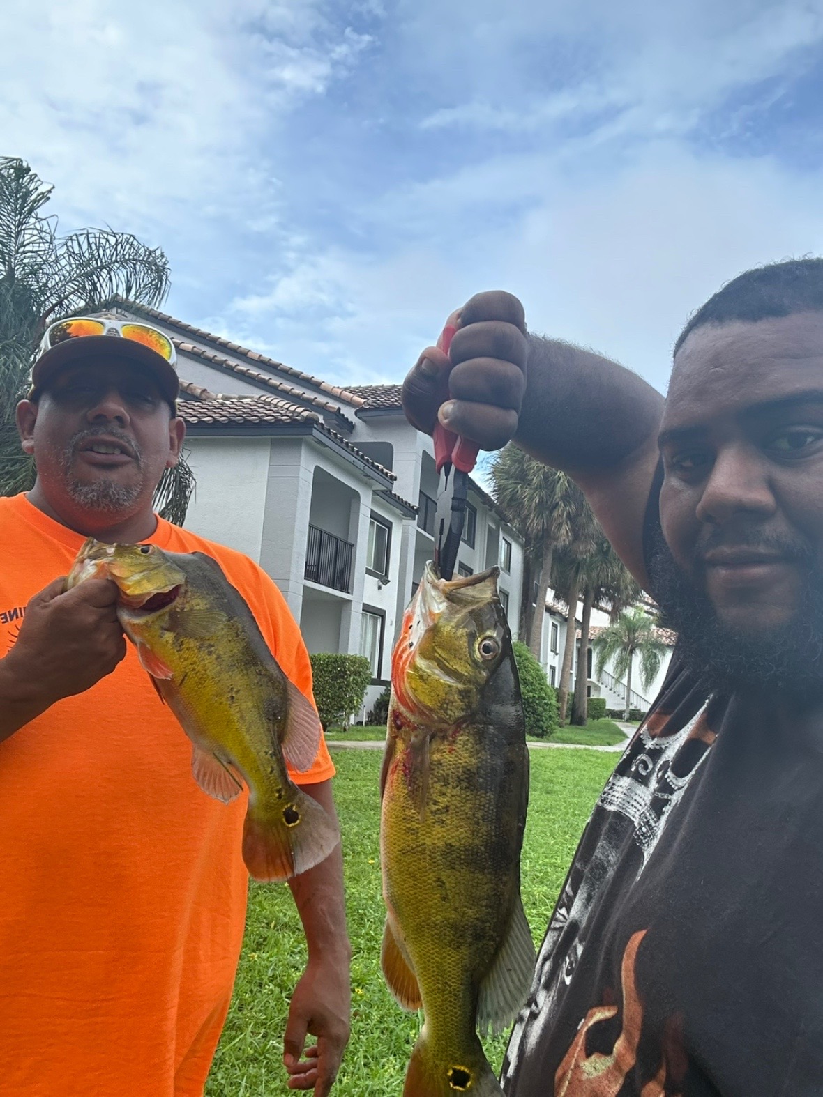 @Pewpew life _954