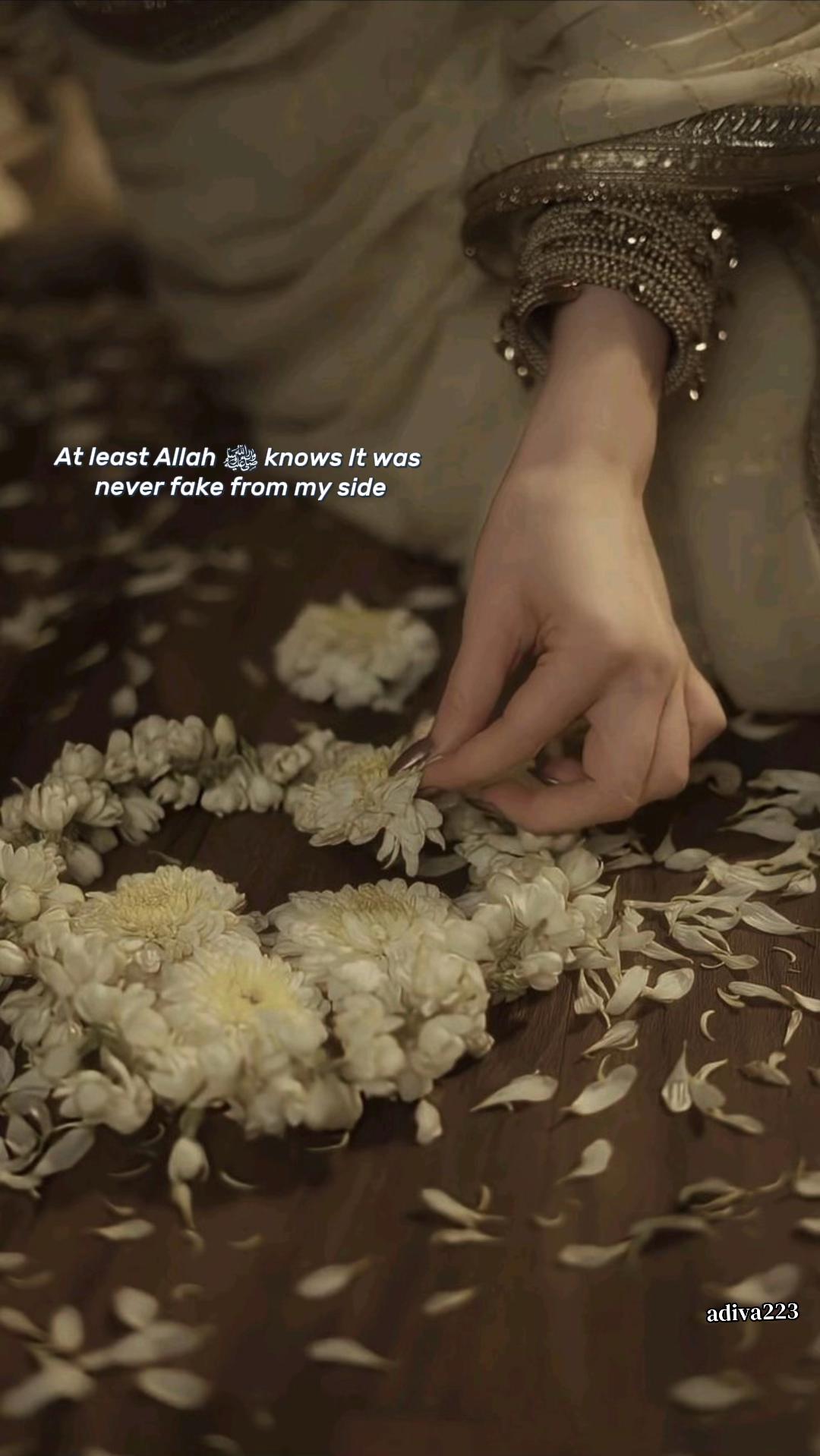 @🌸adiva🌸