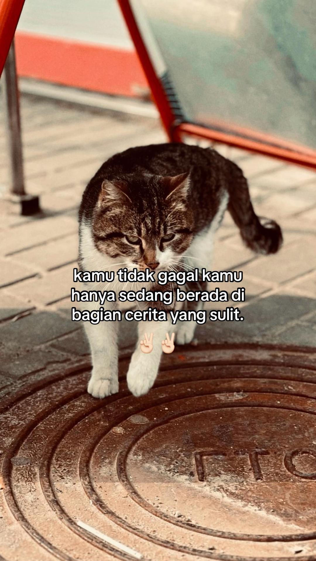 @samsul159