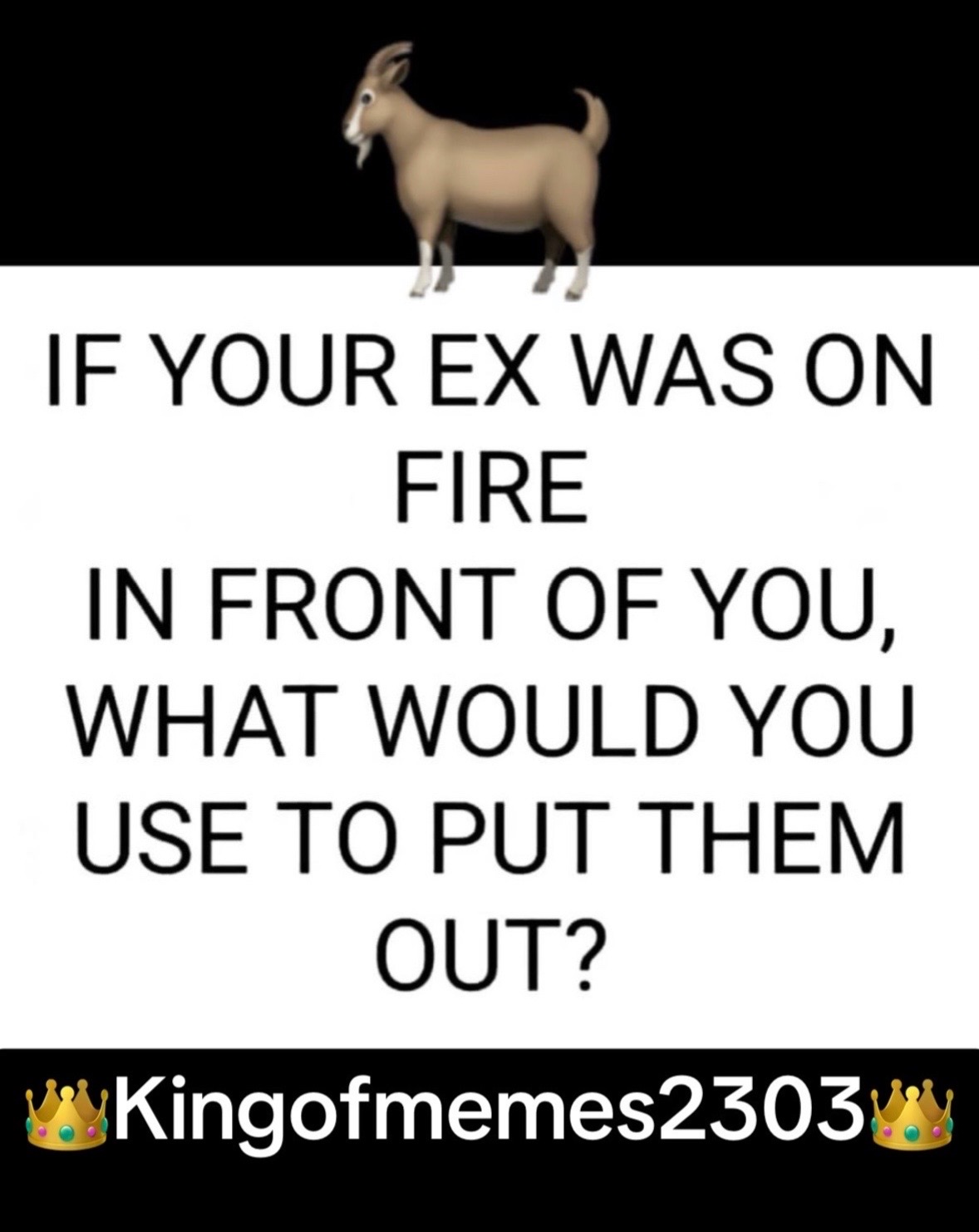 @Kingofmemes2303