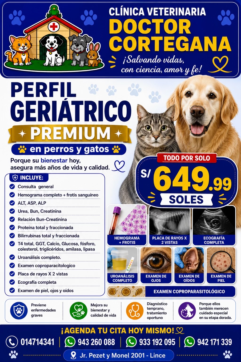 @VETERINARIA DR. CORTEGANA