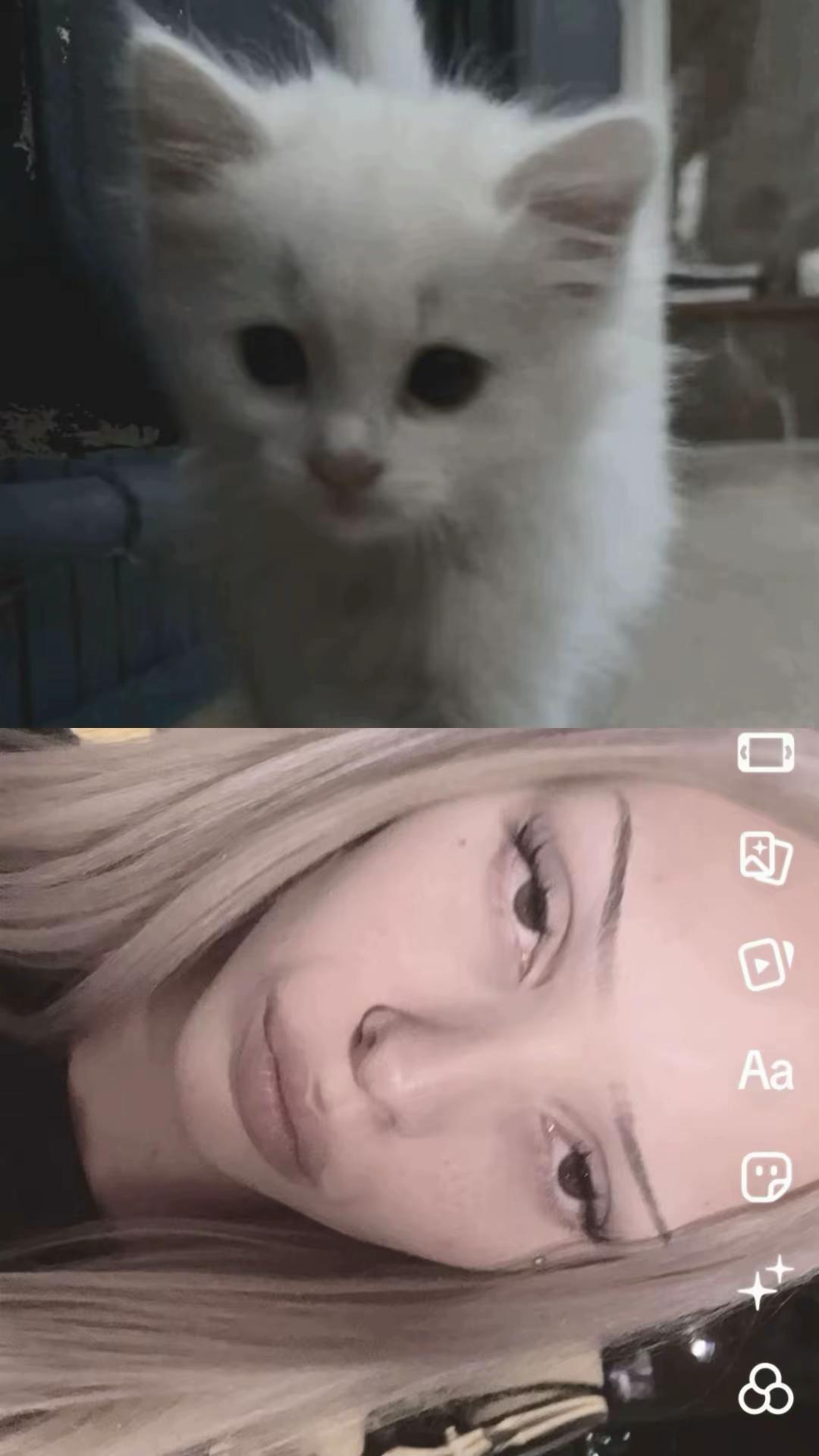 @kurtii2017†