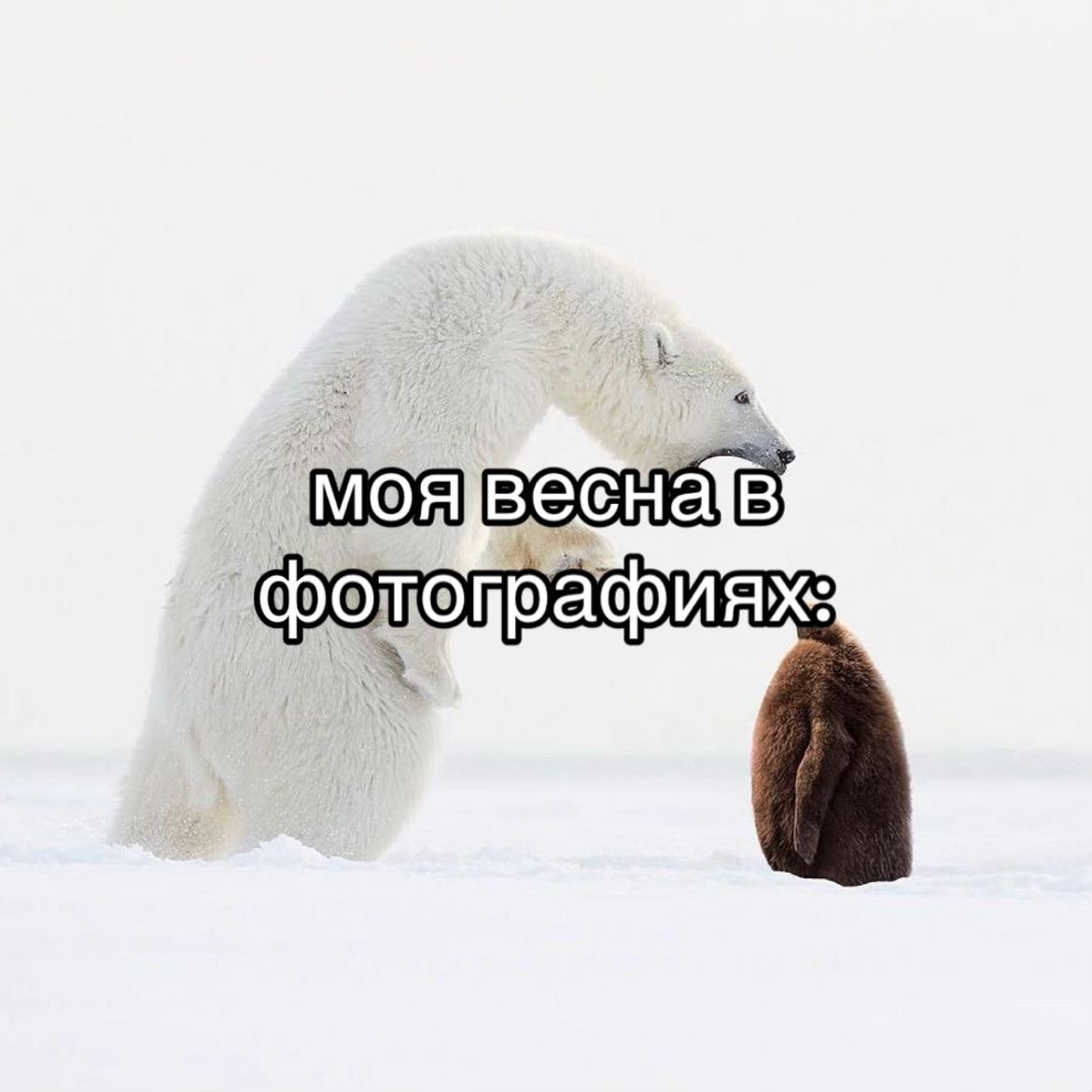 @씨발