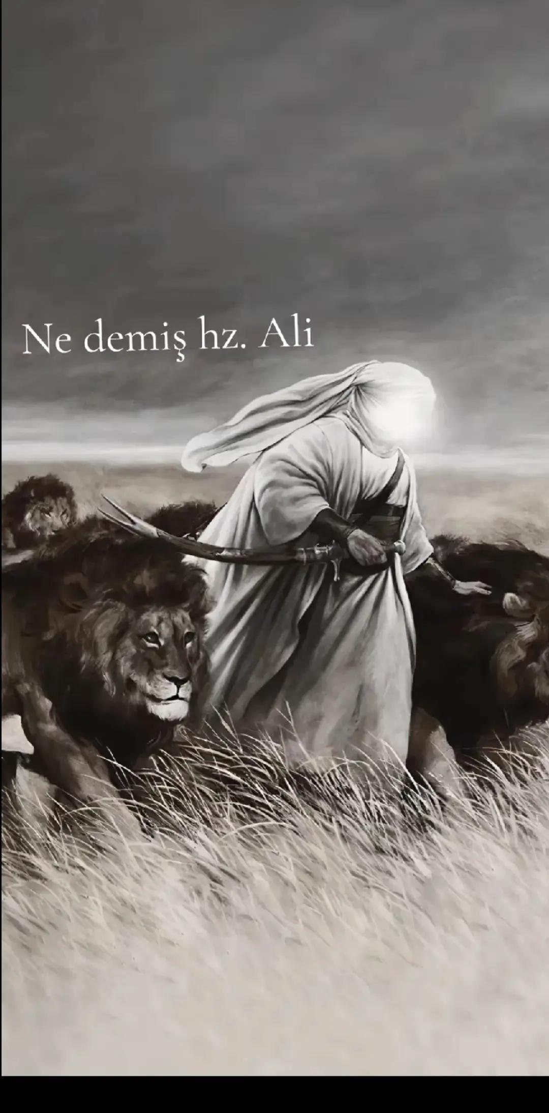 @MUŞLU๛BIRHAN