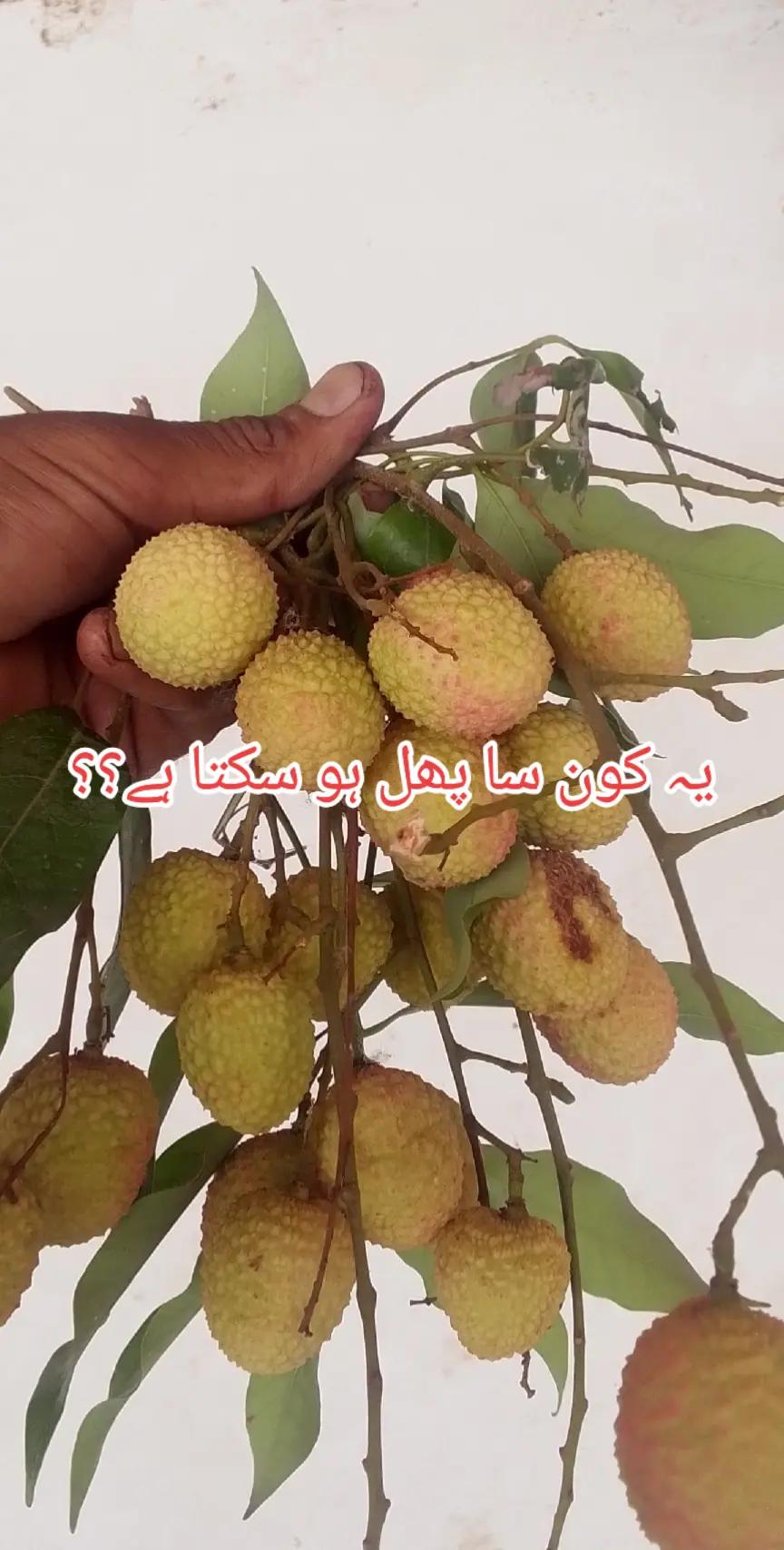 @KitchenFood612