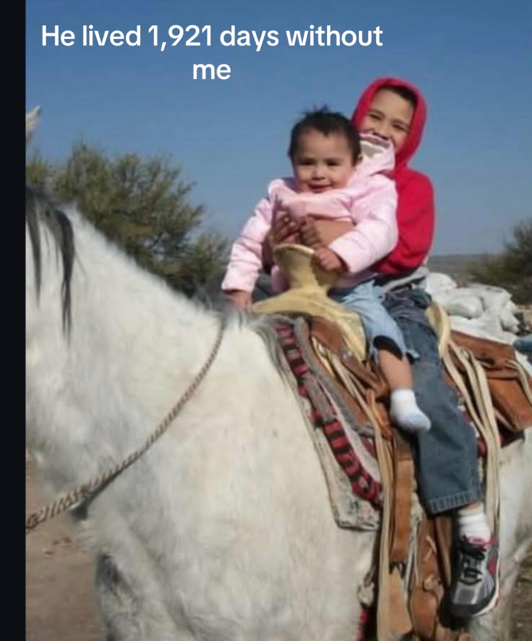 @annelle