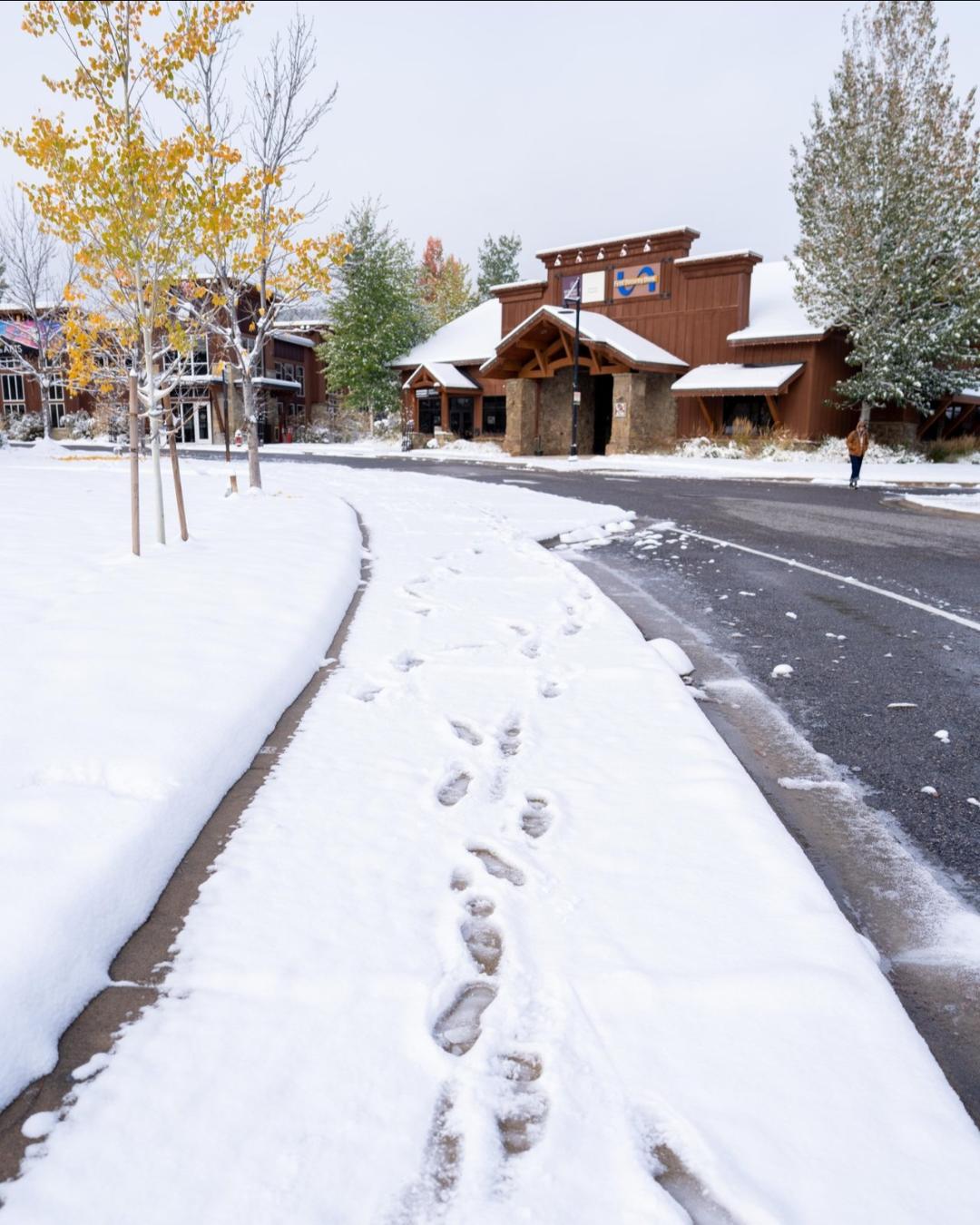 @VisitBigSky