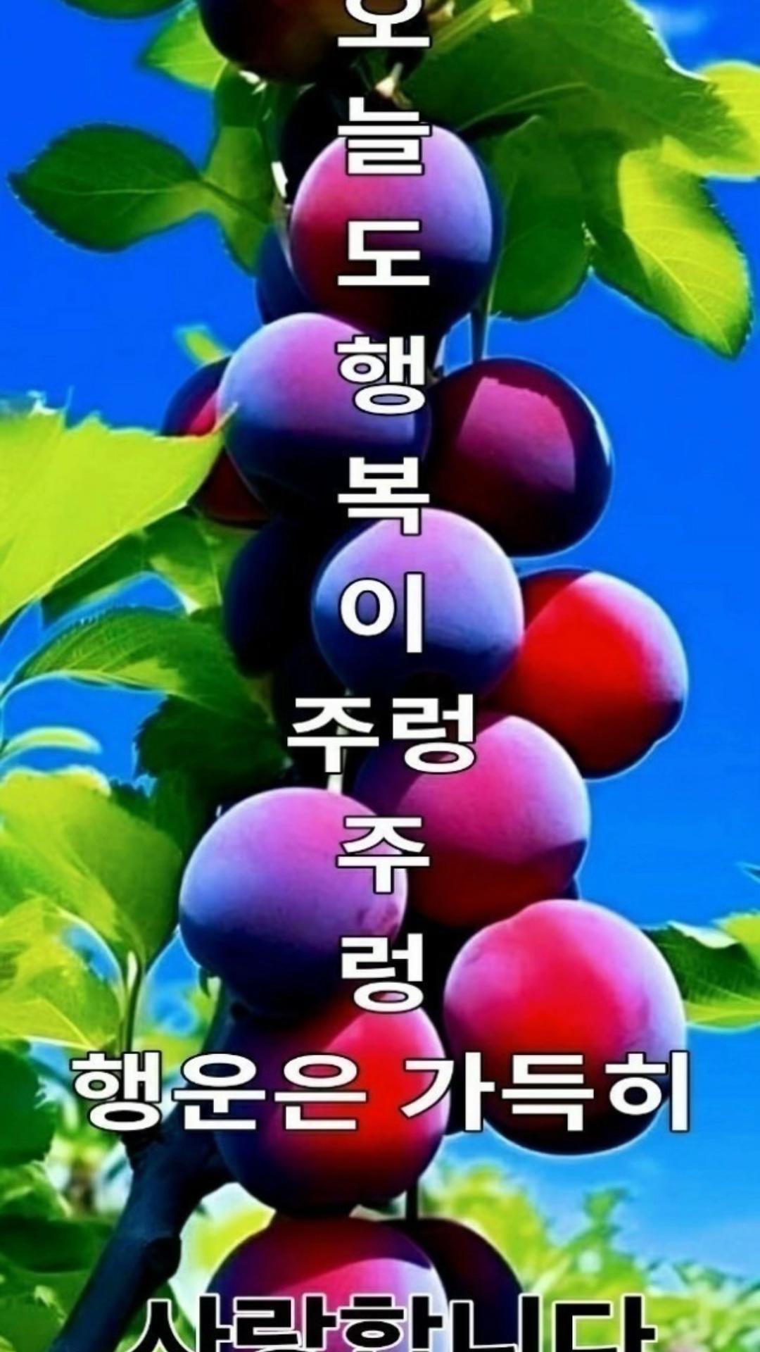@뚱땅이