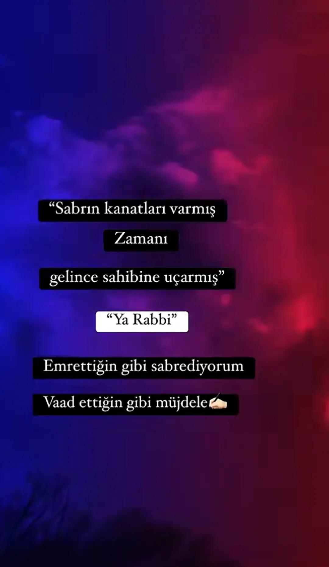 @hayattan izler