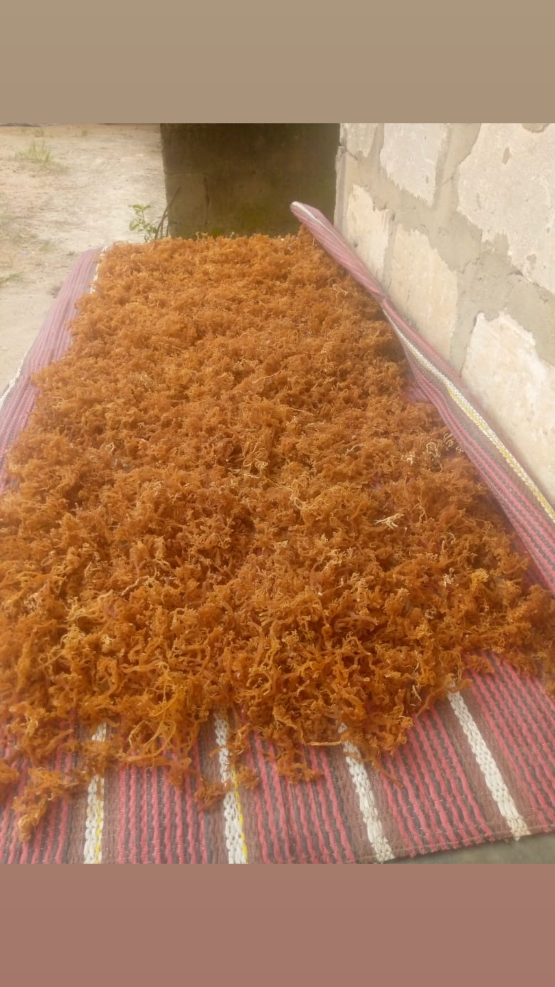 @saumumbarouk