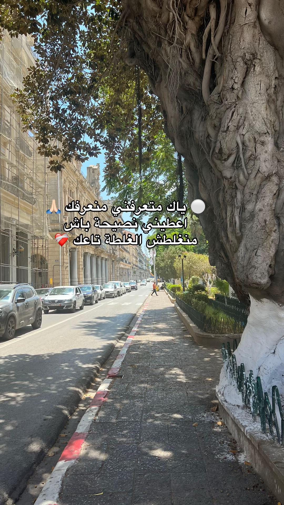 @Ad aam 🪽