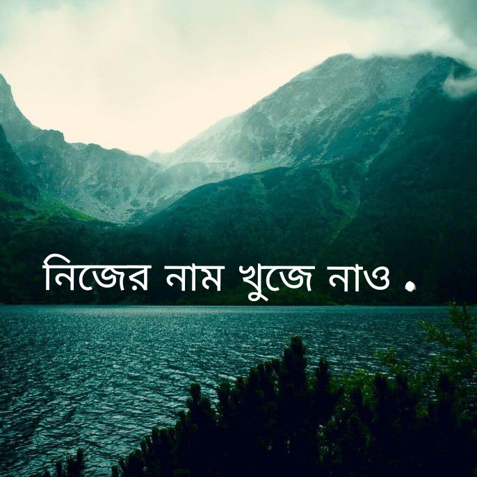 @S .H. TANVIR