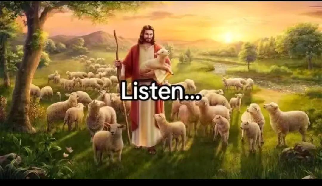 @✝high boi55✝︎