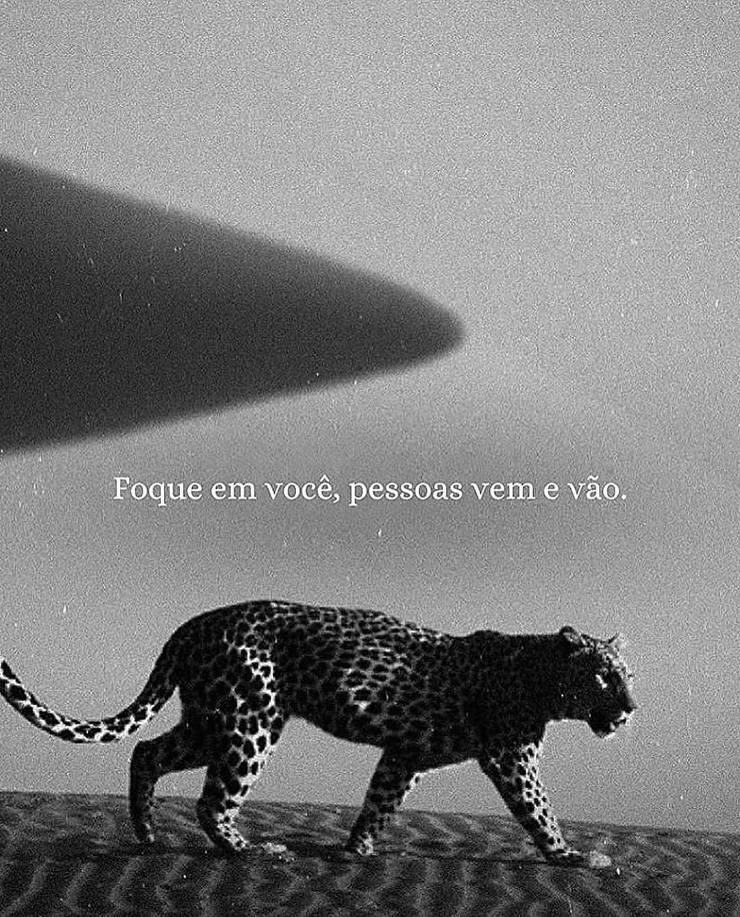 @Riqueza e Liberdade