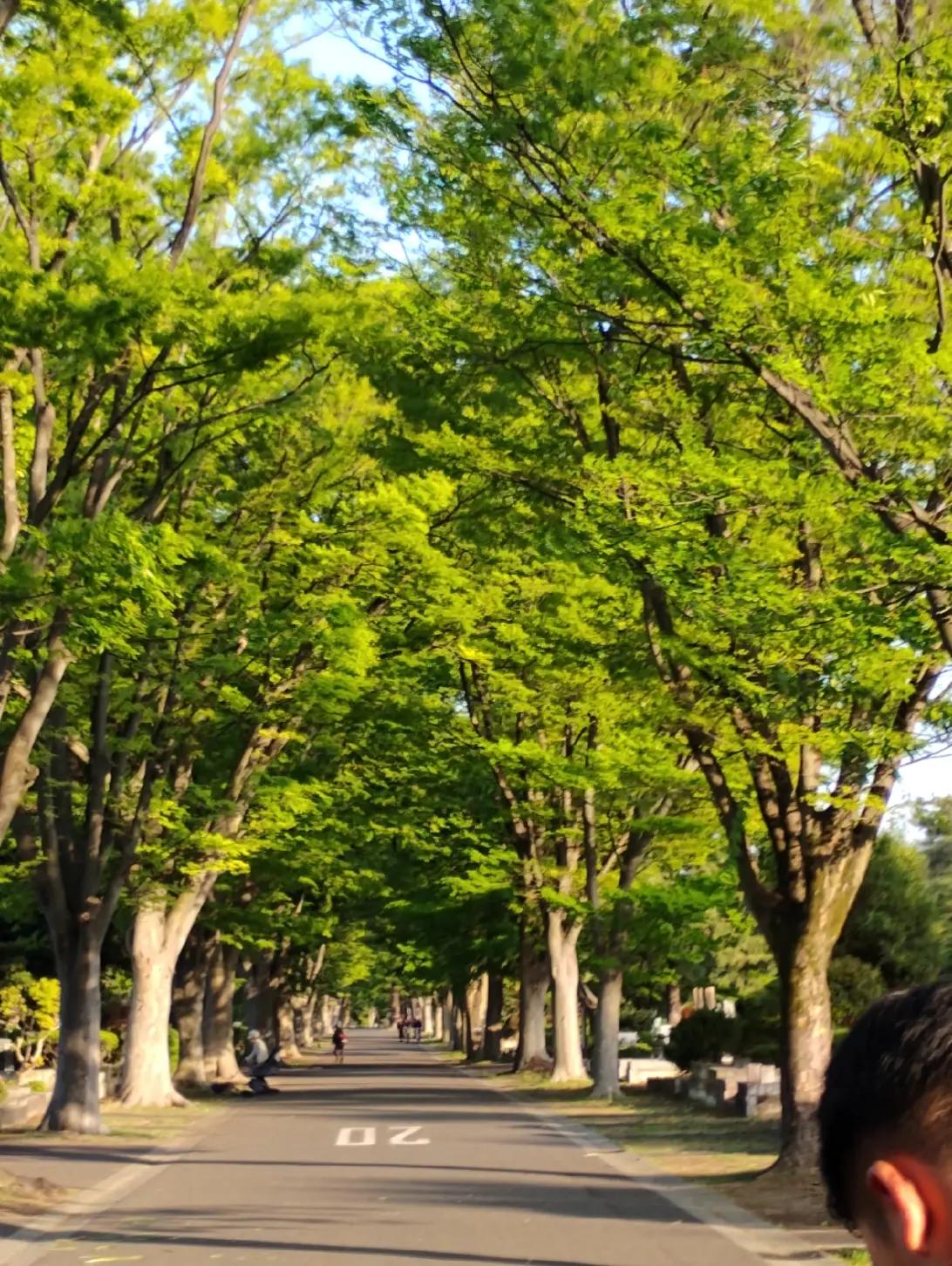 @Dharm Raj Pal 🇯🇵🕉️