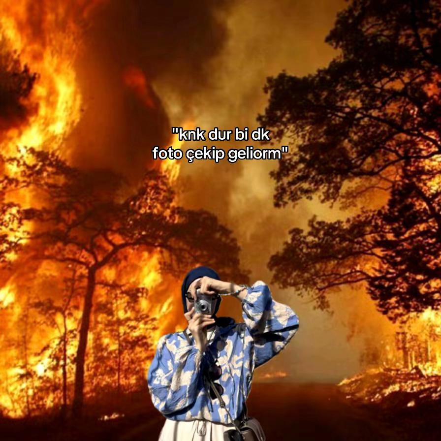 @el!f&bull;민