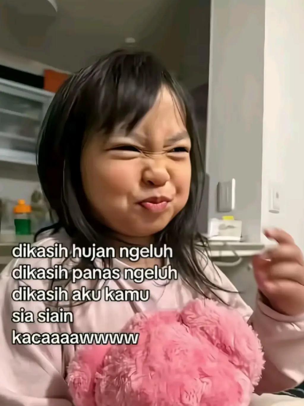 @aniss