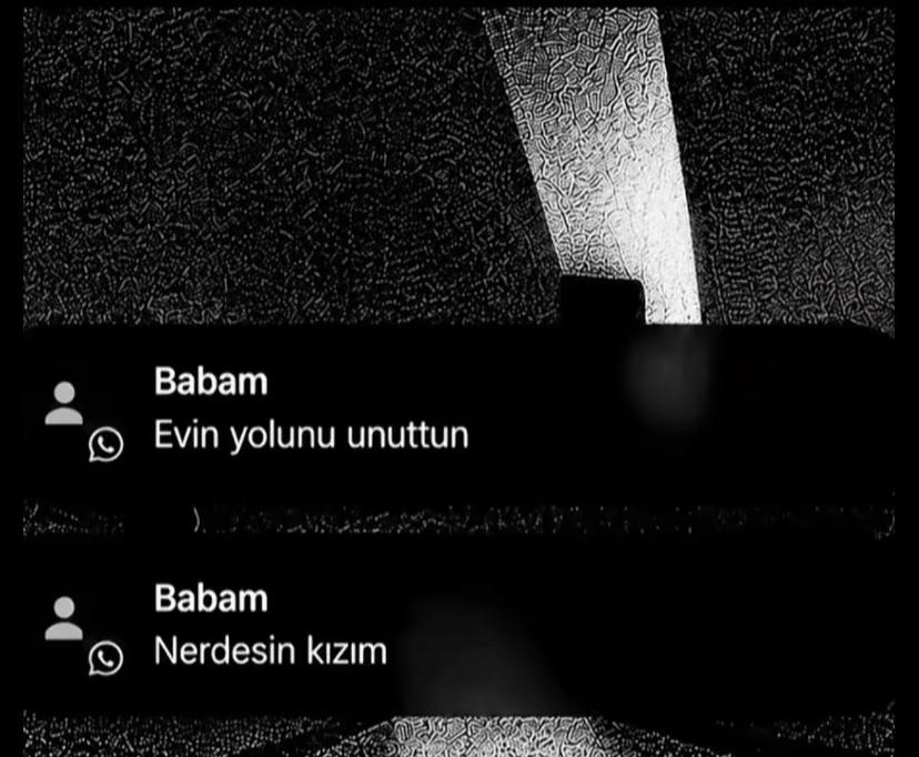 @berfin