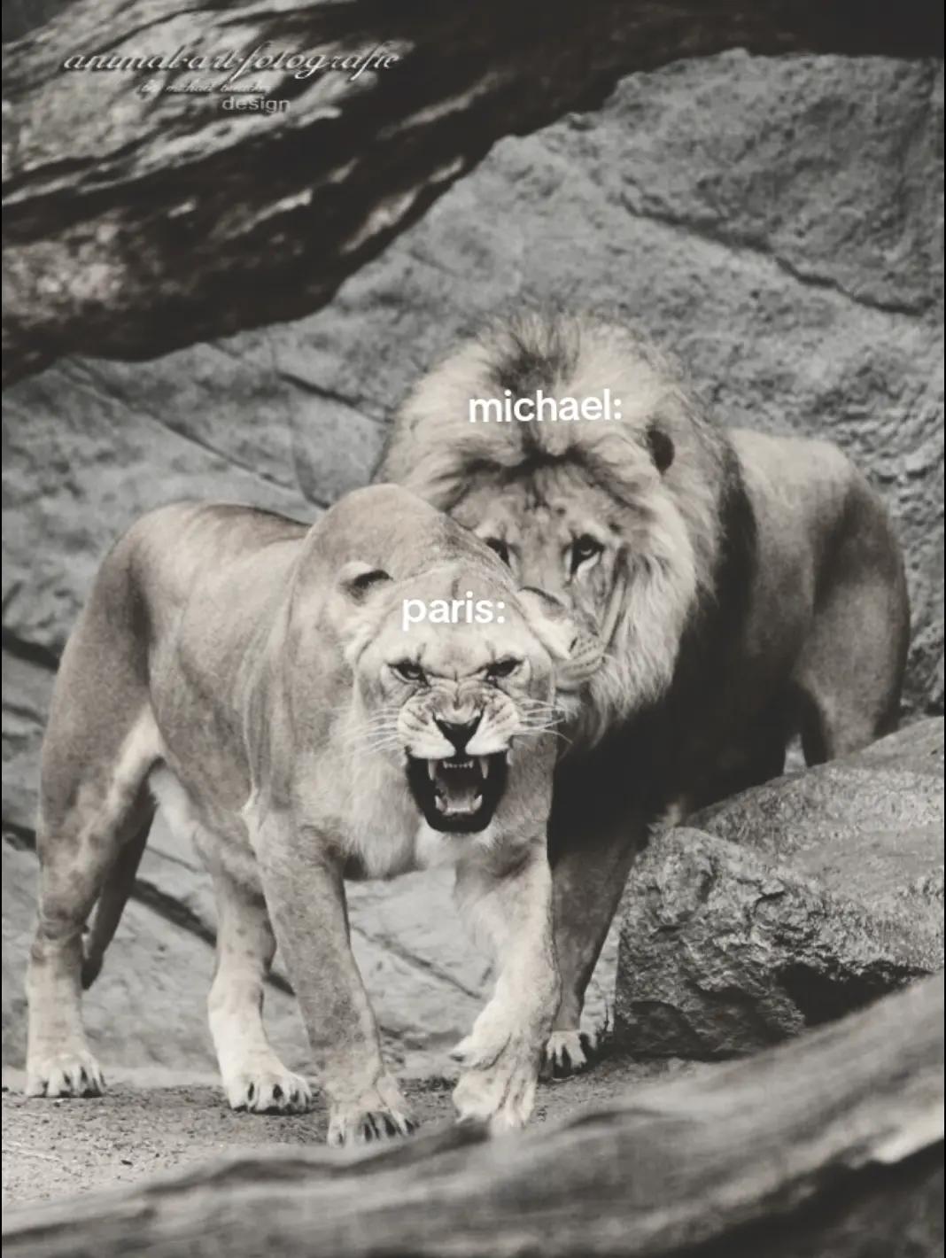 @ցᥲᥱl ( ᥲᥒgᥱᥣ᥆'s ᑲ᥆ᥡ𝖿rіᥱᥒძ )