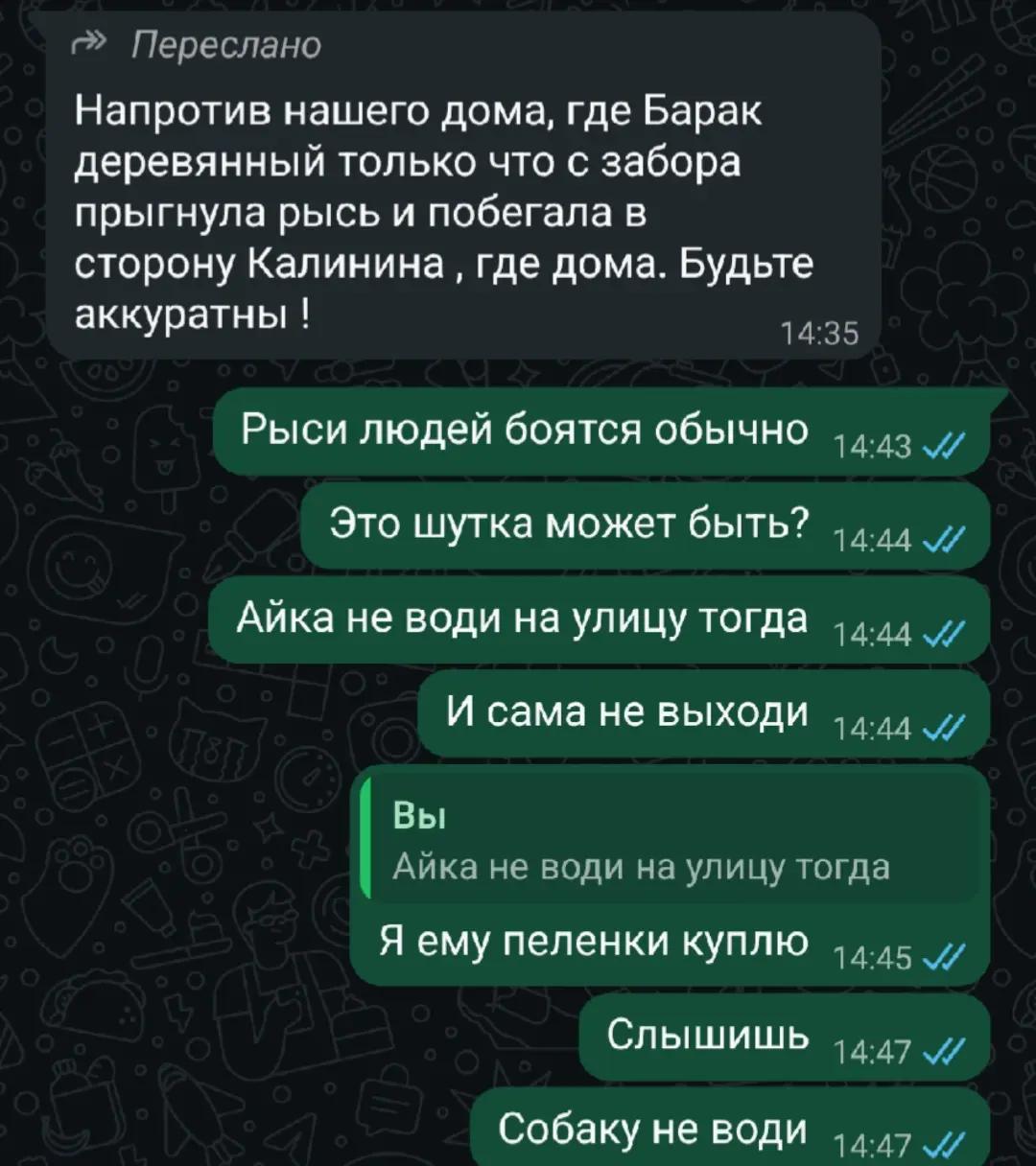 @Полина
