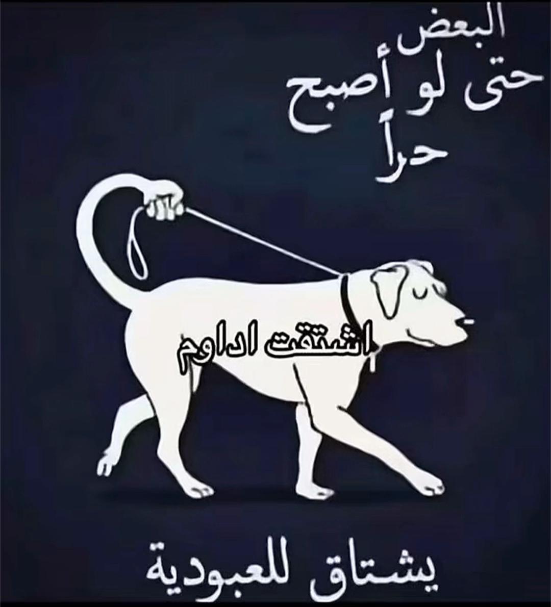 @ARWA🪄