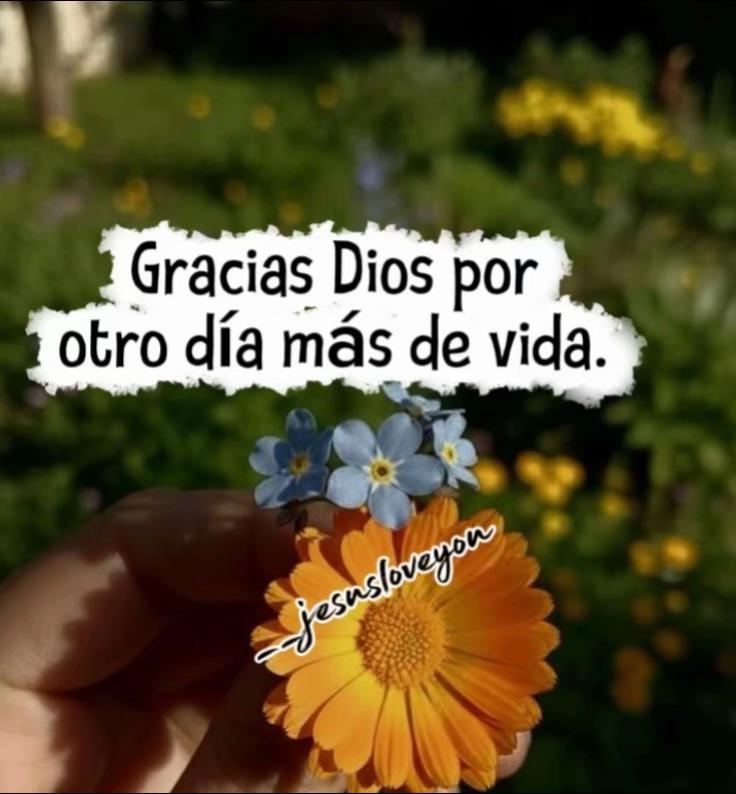 @ireg.f