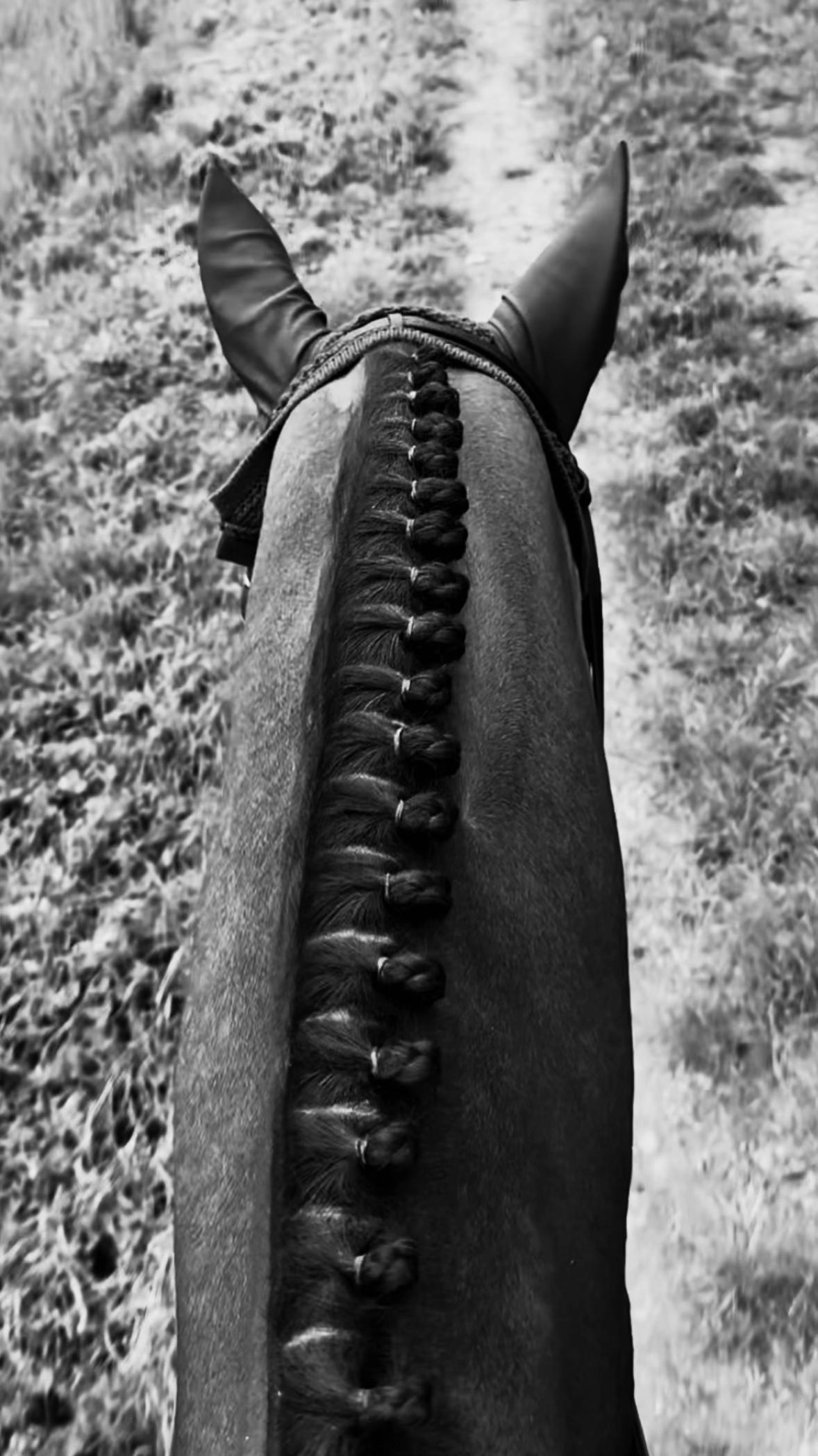 @La.Dolce.Horses