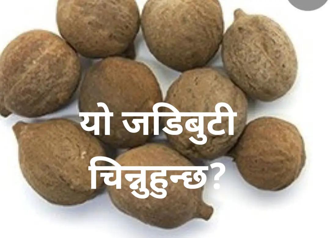 @डा.राम बहादुर बोहरा