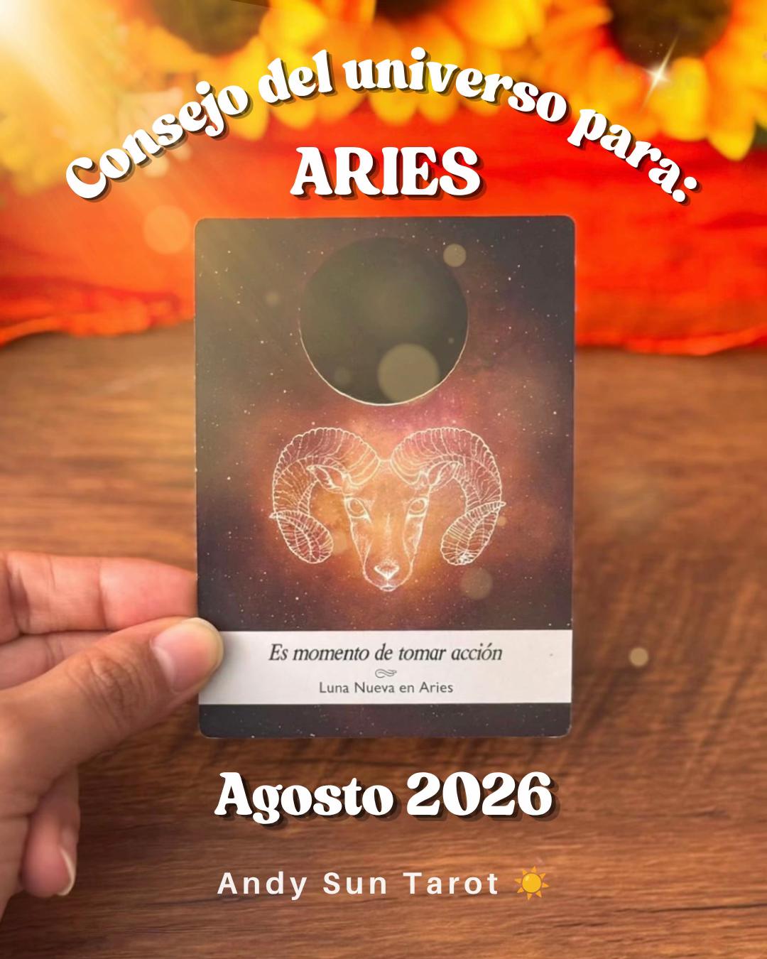 @Andy Sun Tarot ☀️
