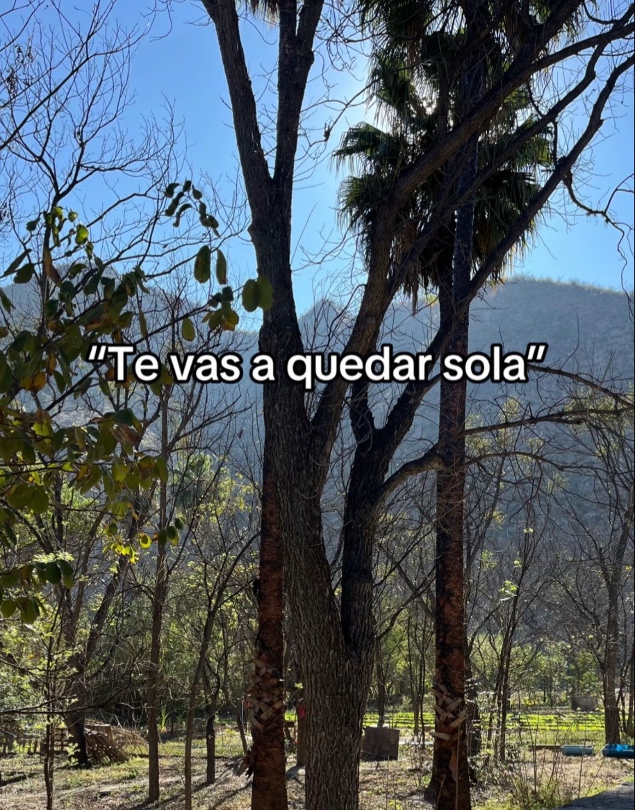 @noemi Moreno