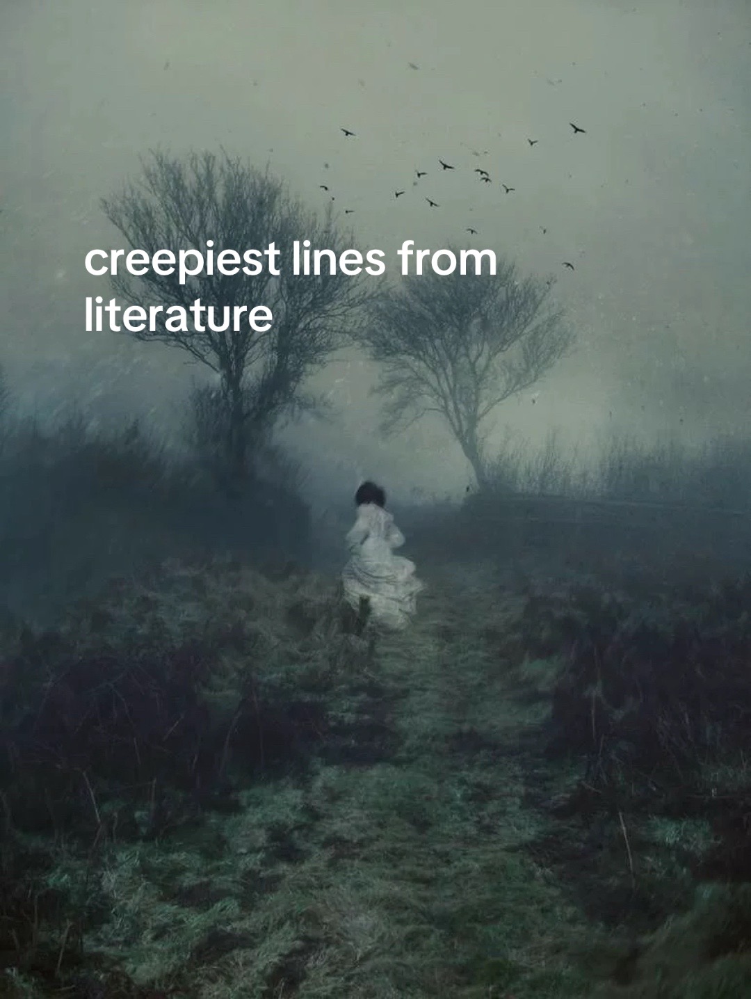 @Bianca The Bibliophile