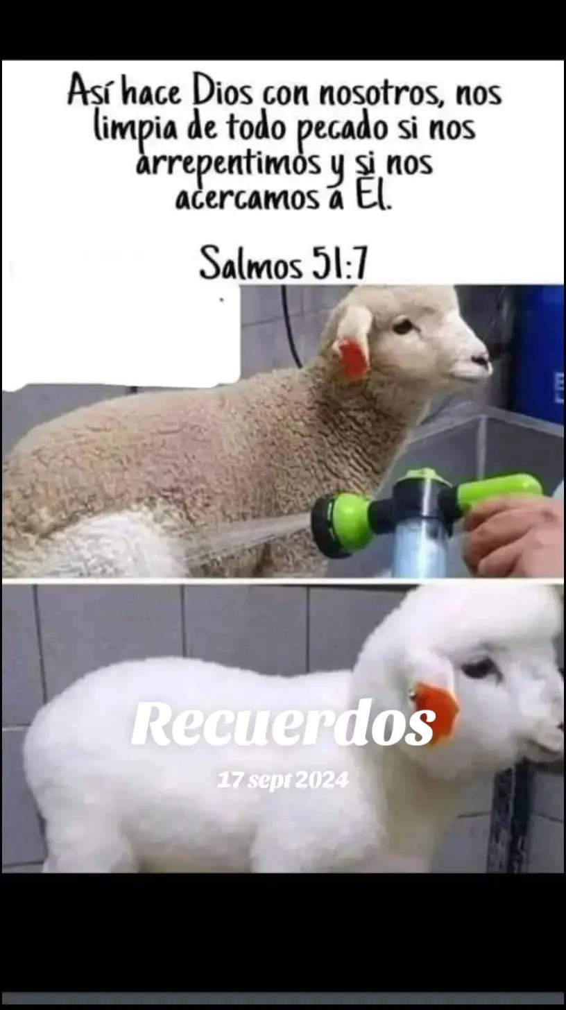 @soy el que soy